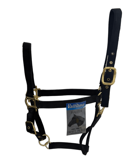 Licol Premium Draft (trait)