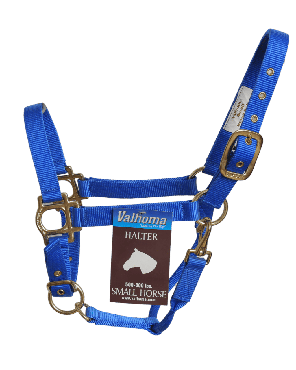 Licol Premium Colt