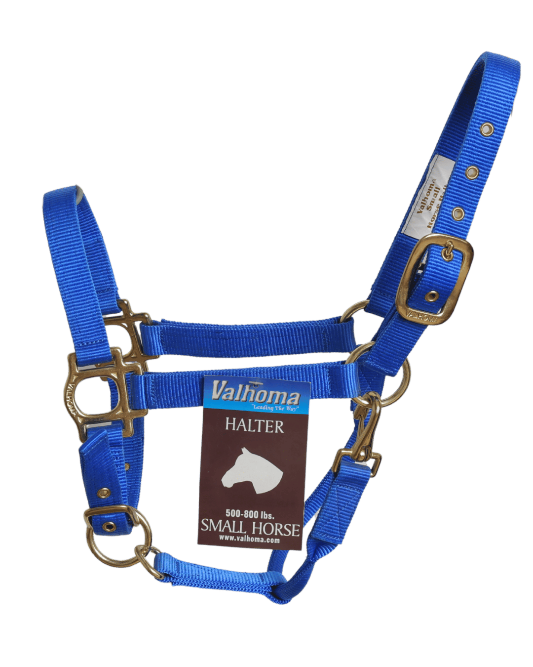 Licol Premium Colt