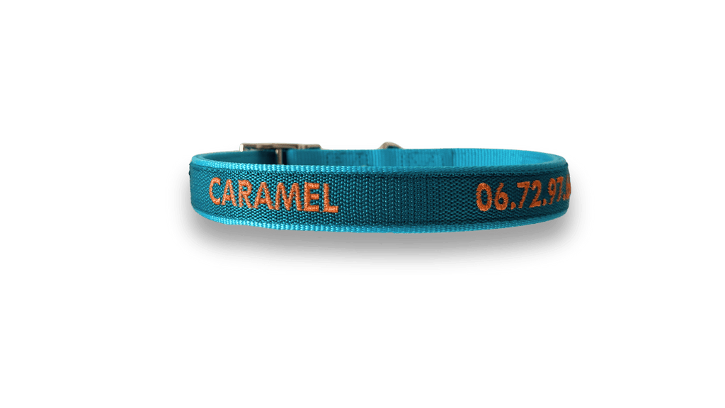 Exemple de collier nylon brodé  turquoise Valhoma pour chien personnalisé avec une broderie du prénom