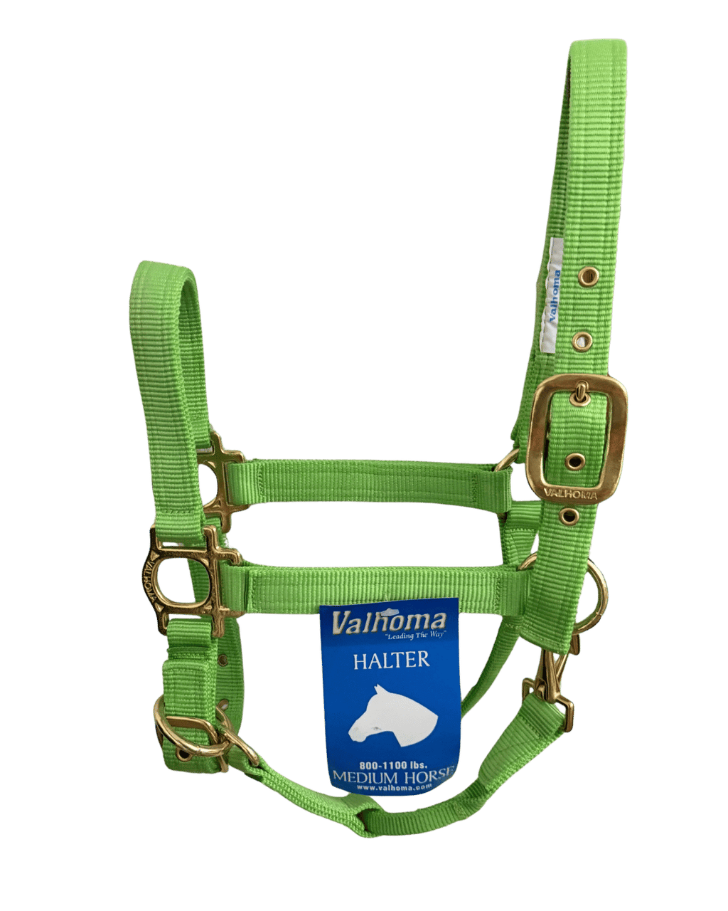 Licol Premium Colt