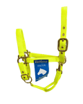 Licol Valhoma jaune néon pour cheval et poney, personnalisable avec une broderie