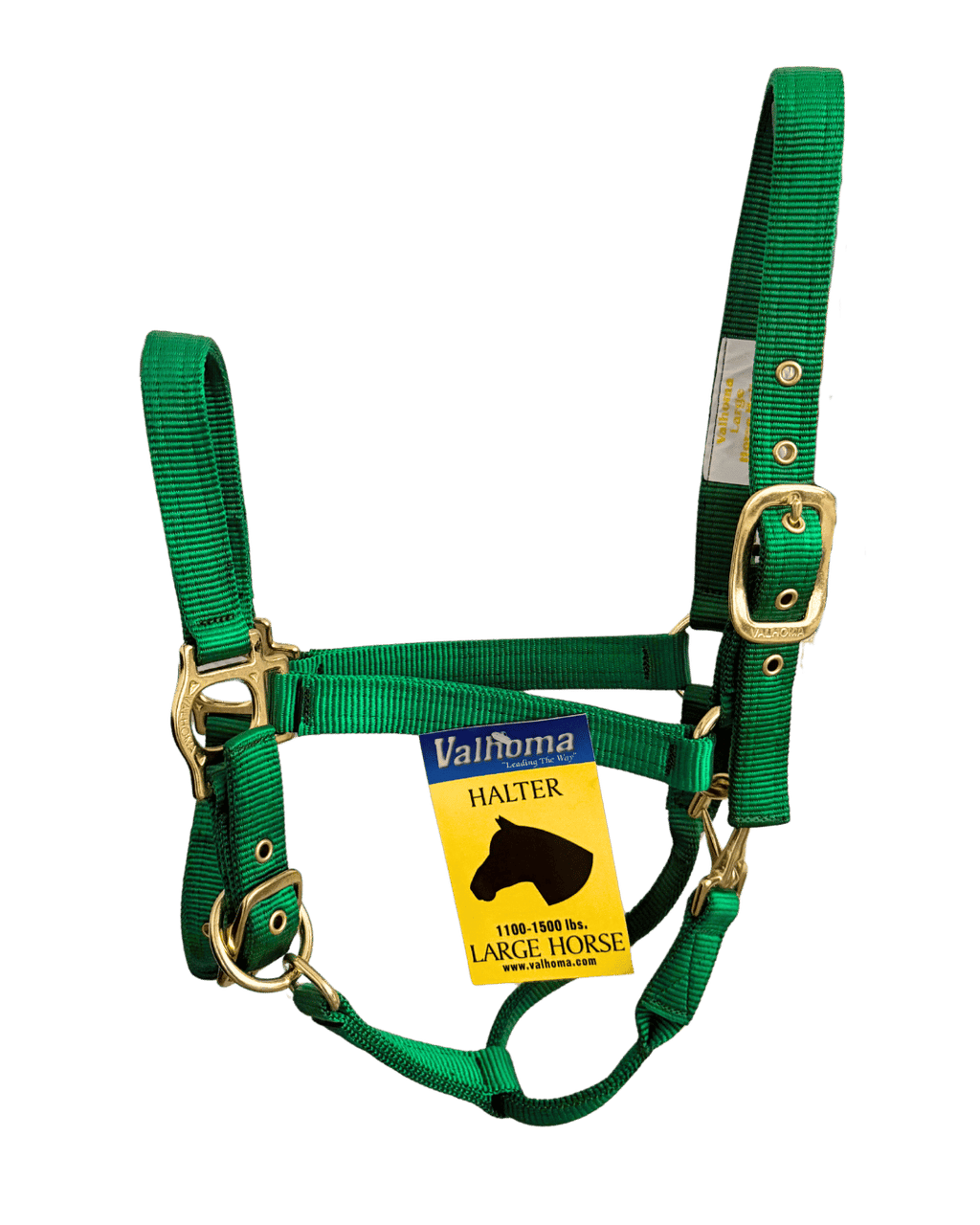 Licol Premium Colt