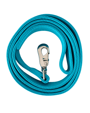Laisse turquoise