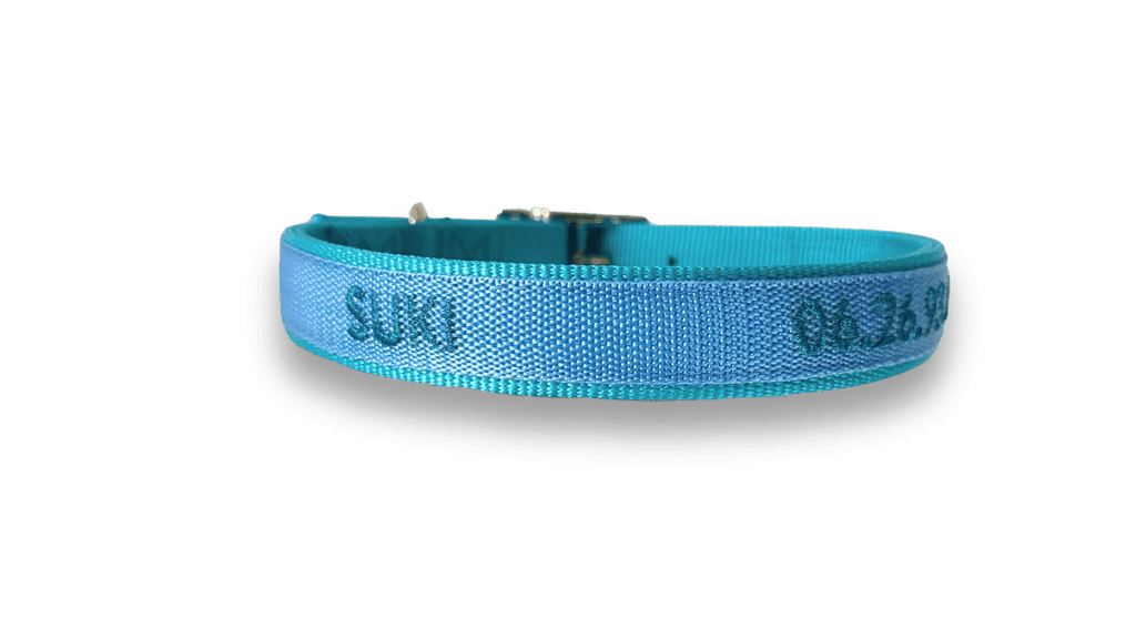 Exemple de collier en nylon brodé turquoise Valhoma pour chien personnalisé avec une broderie du prénom