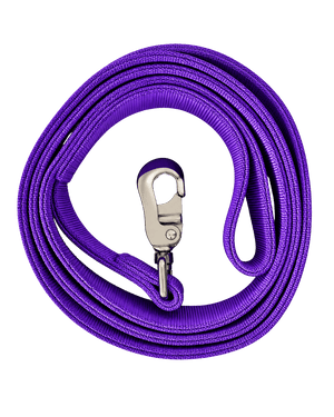 Laisse violet