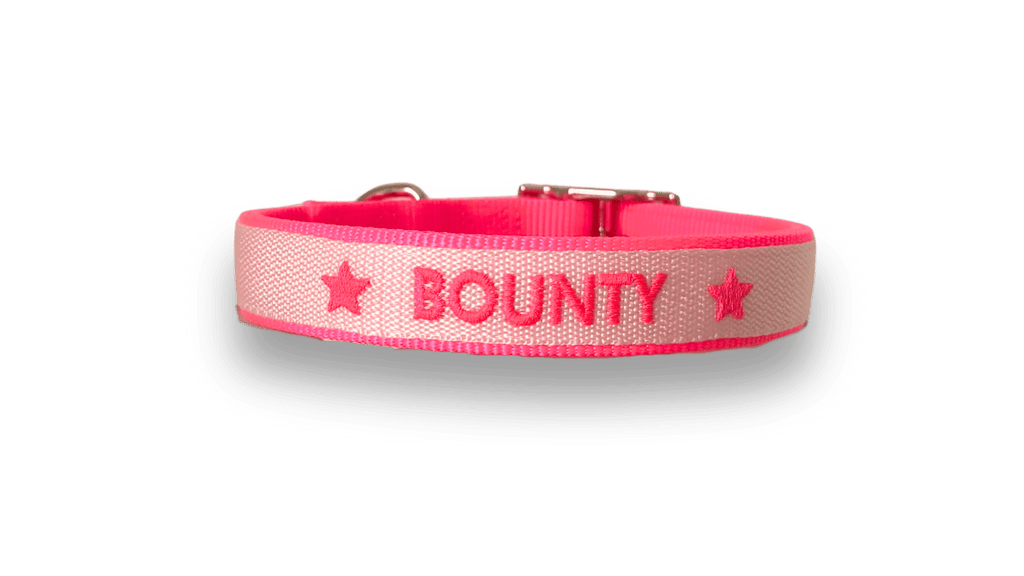 Exemple de collier nylon brodé néon rose Valhoma pour chien personnalisé avec une broderie du prénom