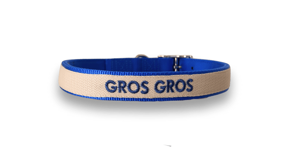 Exemple de collier nylon brodé bleu roi Valhoma pour chien personnalisé avec une broderie du prénom