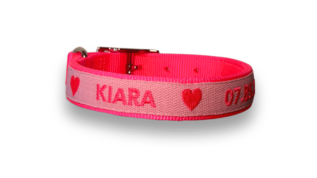Exemple de collier en nylon brodé rose néon Valhoma pour chien personnalisé avec une broderie du prénom