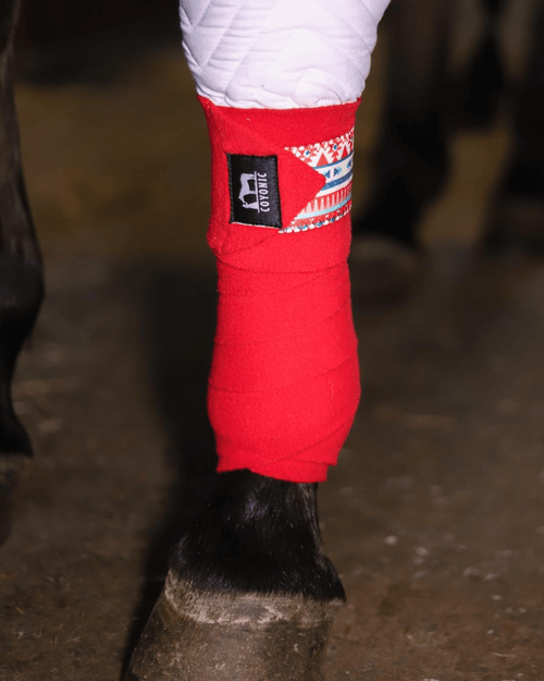 Cheval portant des bandes de polo rouges à motifs aztèques Coyonic