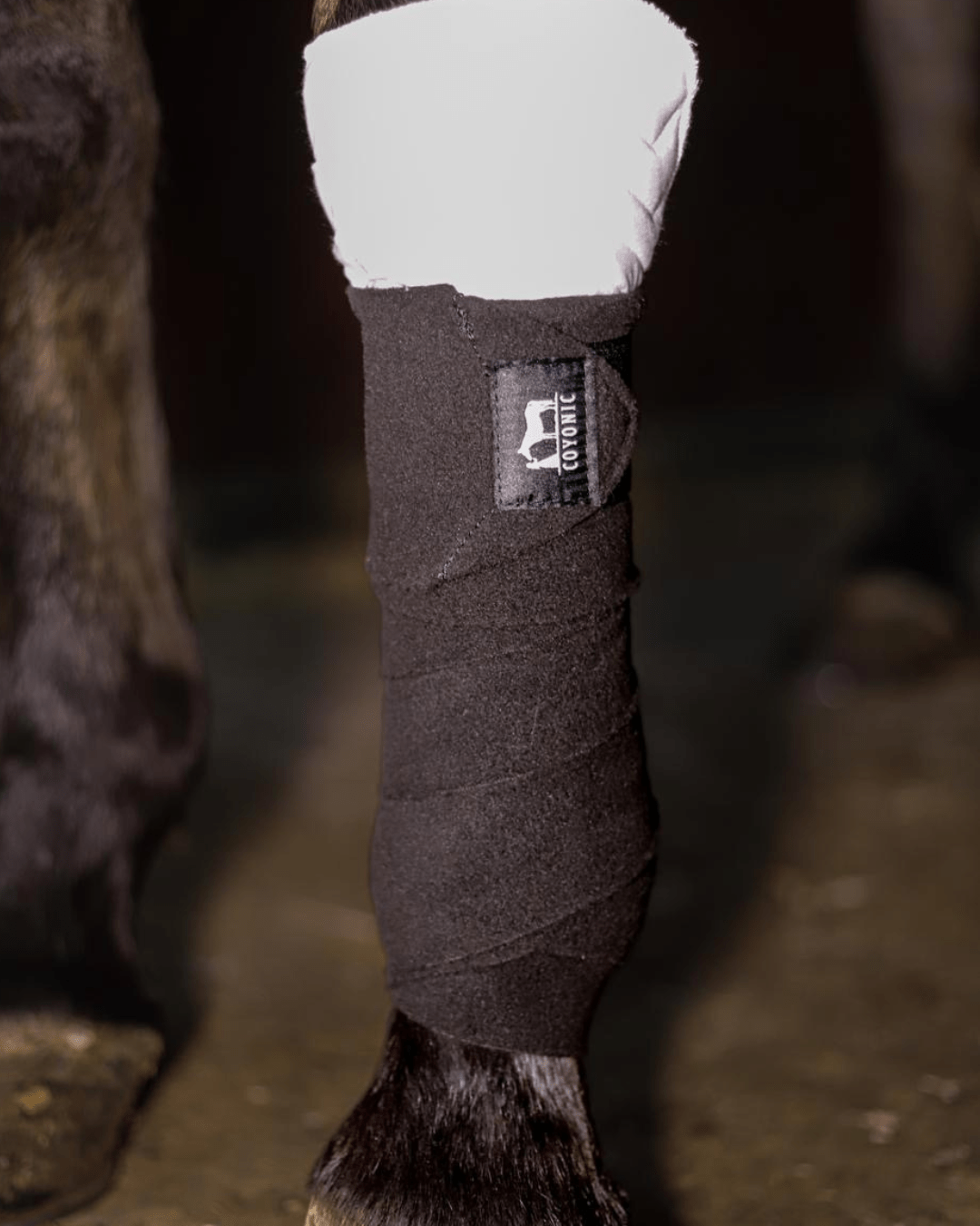 Bandes de polo noires cheval