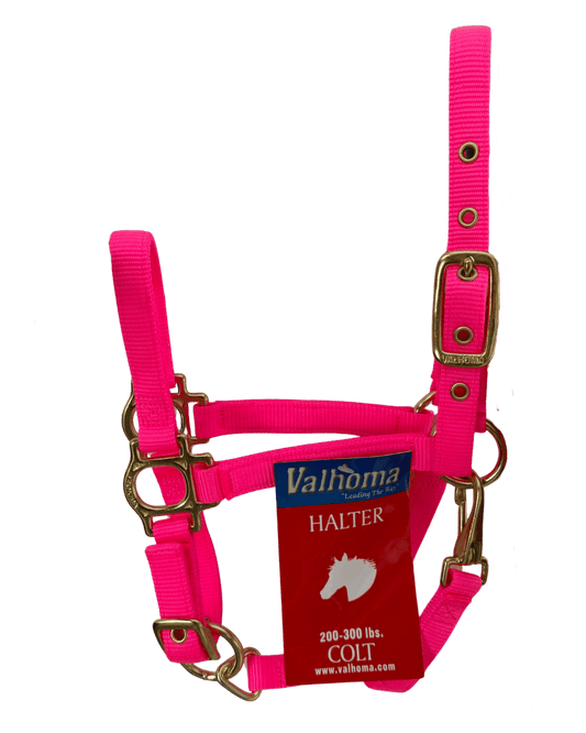 Licol Premium Yearling