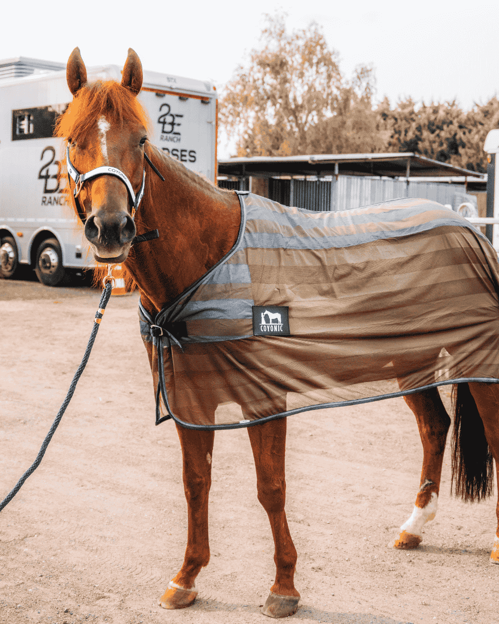 Couverture refroidissante rafraichissante cheval