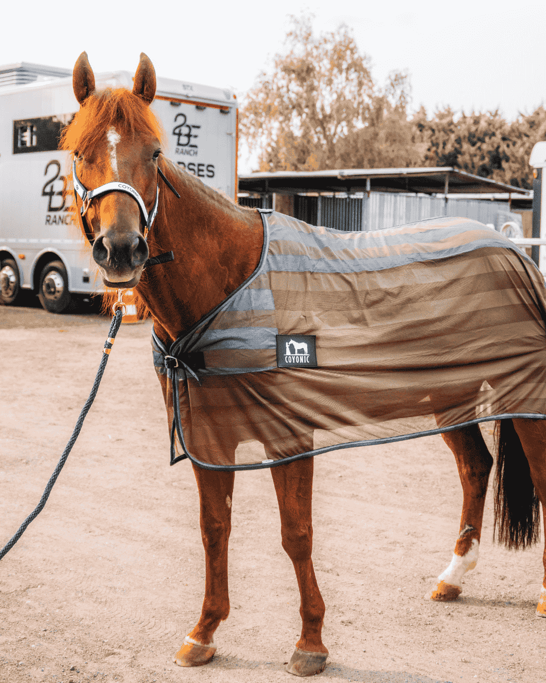 Couverture refroidissante rafraichissante cheval