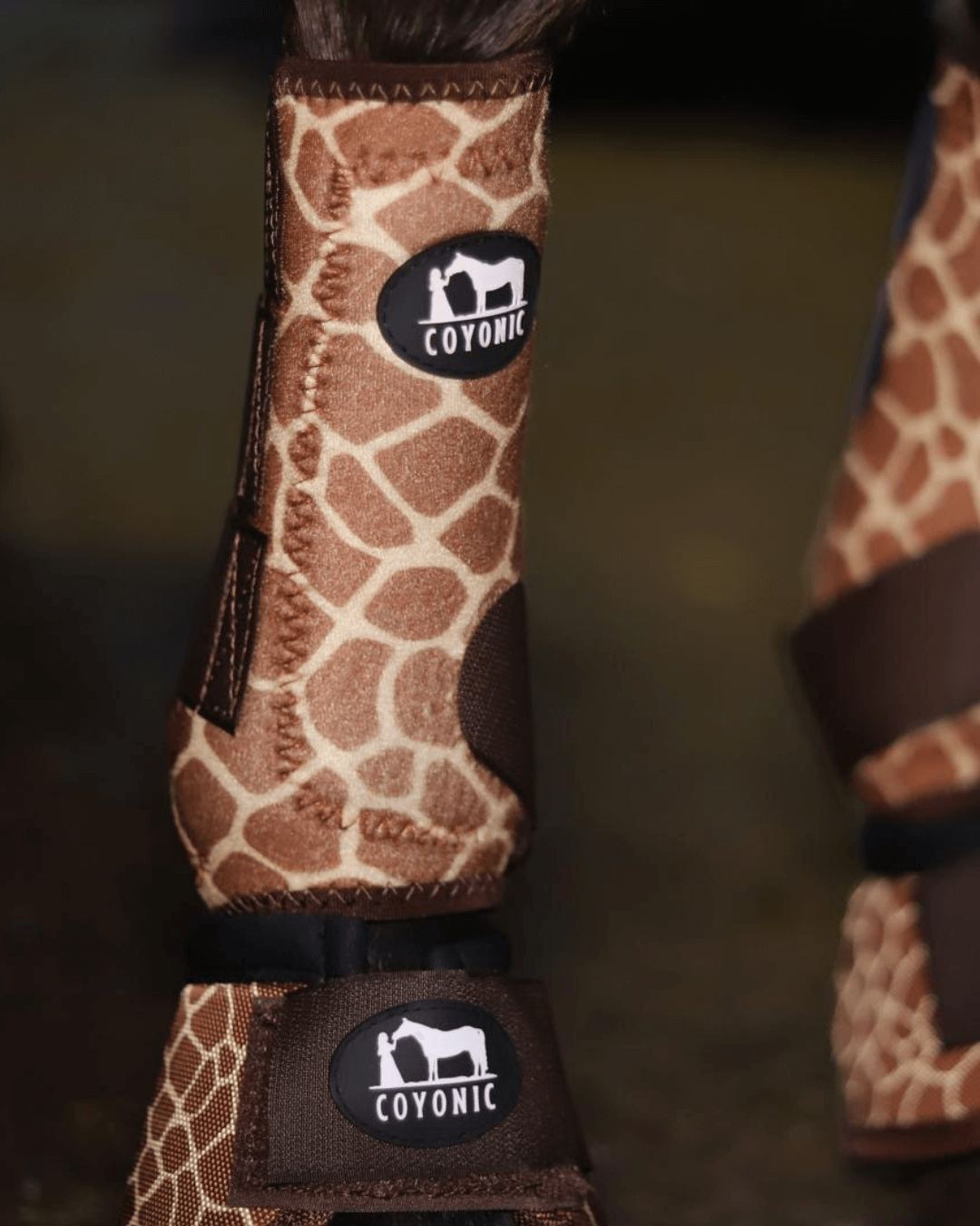 Guêtre cheval motif girafe