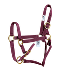 Licol Coyonic bordeaux pour cheval, personnalisable avec une broderie sur la bande du licol