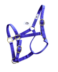 Licol Coyonic Electric Lavender pour cheval, personnalisé avec une broderie et une bouclerie en laiton