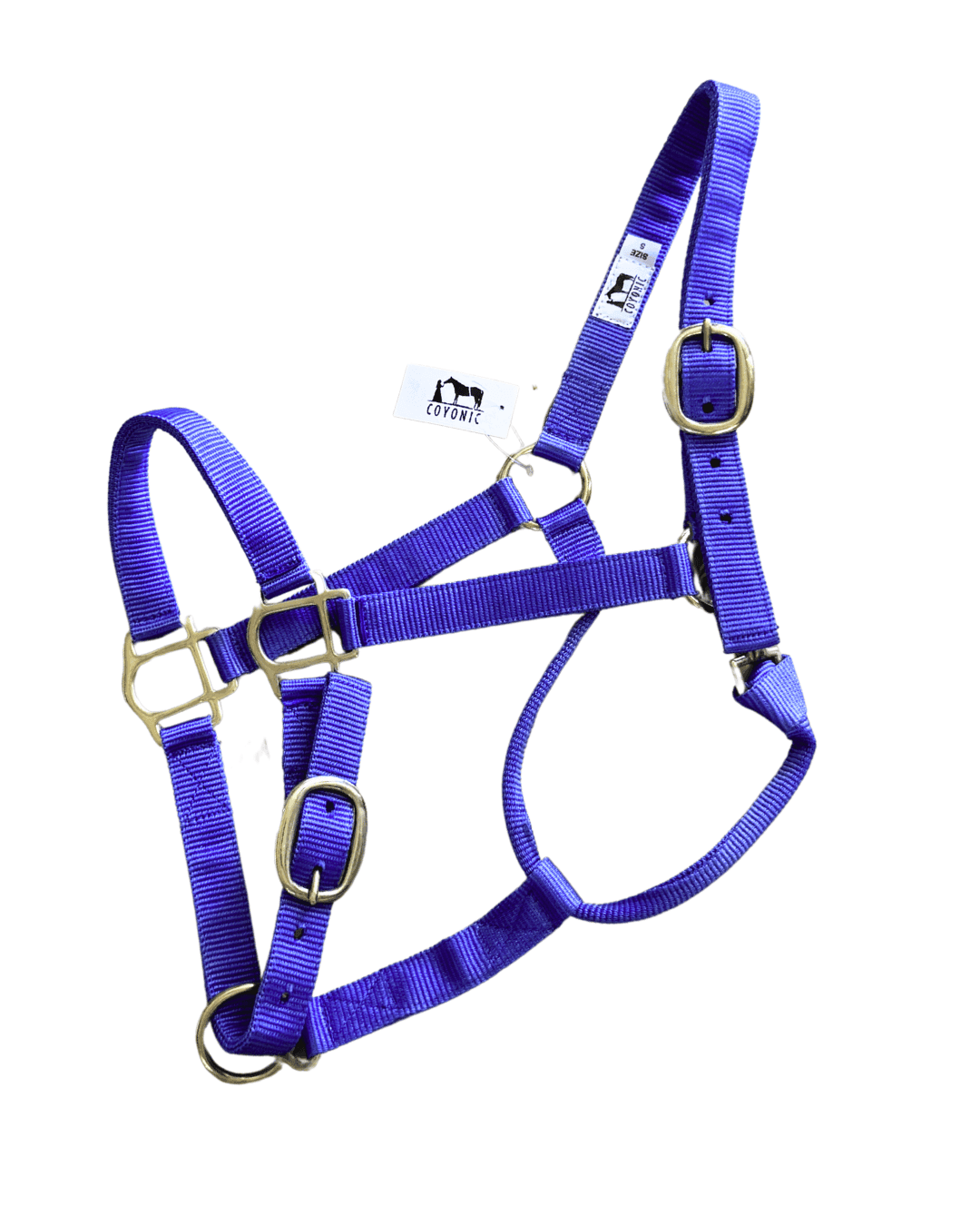 Licol cheval electric lavender