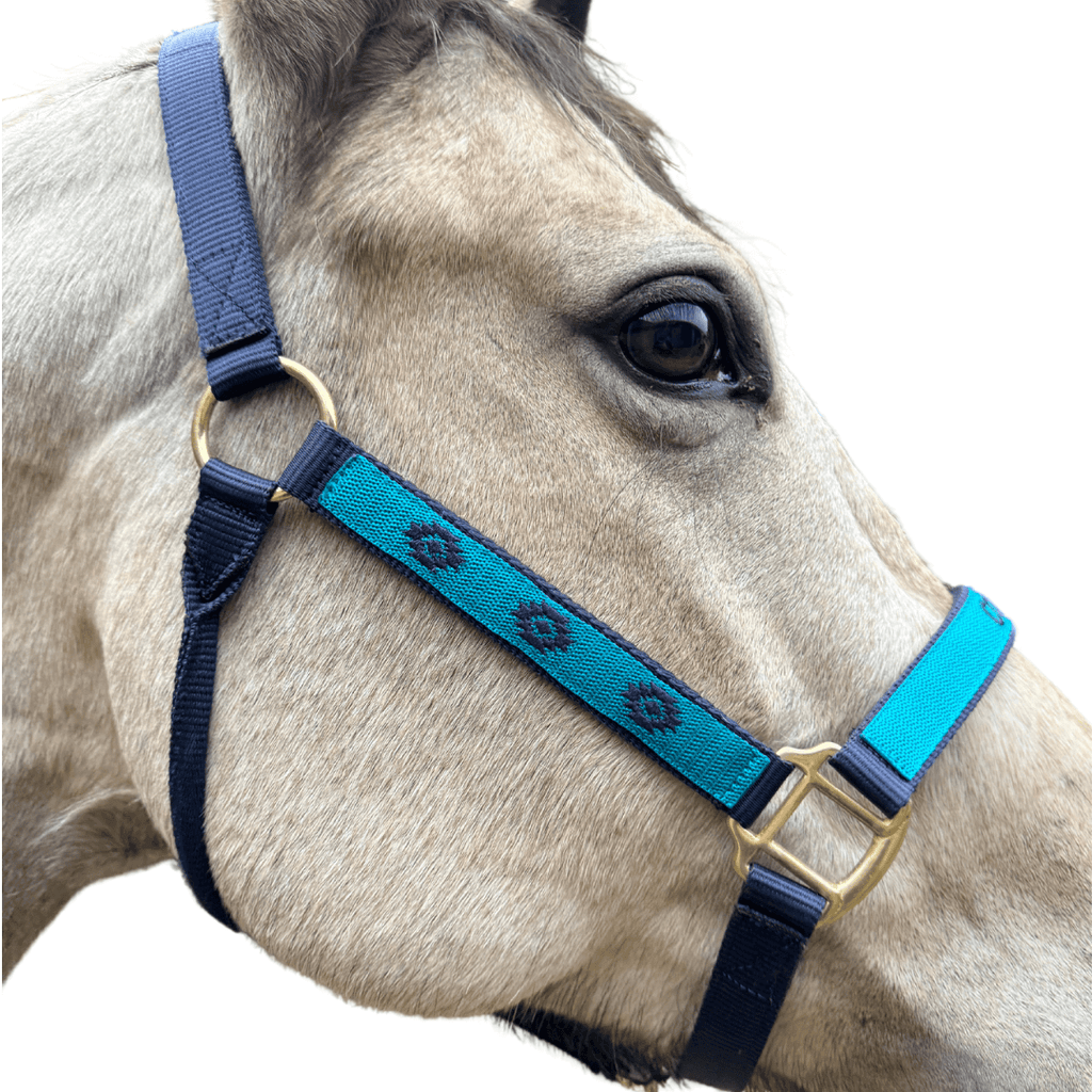 Licol brodé bleu cheval