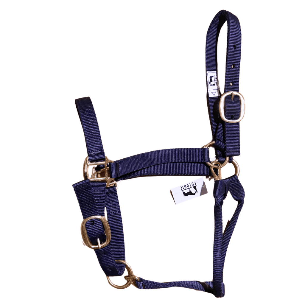 Licol Bleu Marine