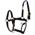 Licol Coyonic noir pour cheval, personnalisable avec une broderie sur la bande du licol