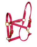 Licol Coyonic rose fuchsia pour cheval, personnalisable avec une broderie 