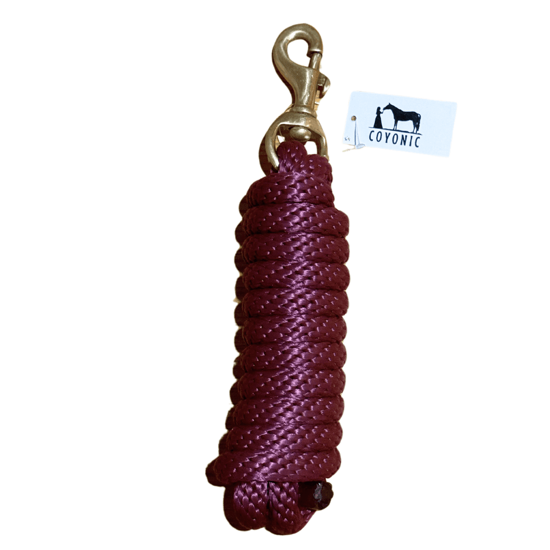 Longe  bordeaux cheval 2,5 m robuste et élégante avec bouclerie en laiton. Prise en main confortable et résistance optimale pour l’écurie, les soins et les déplacements.