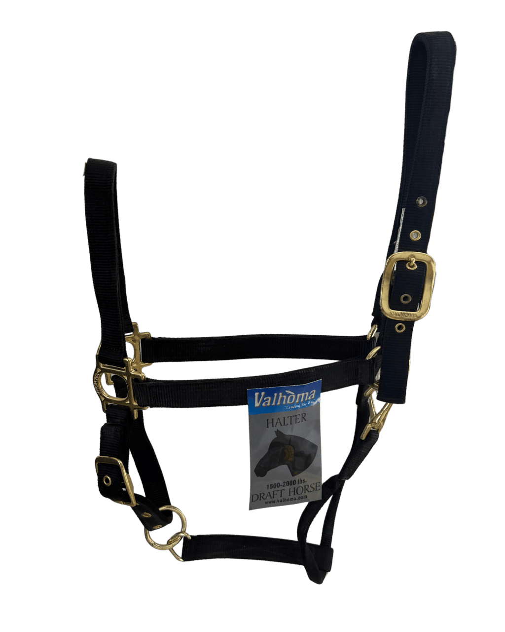 Licol Premium Draft (trait)