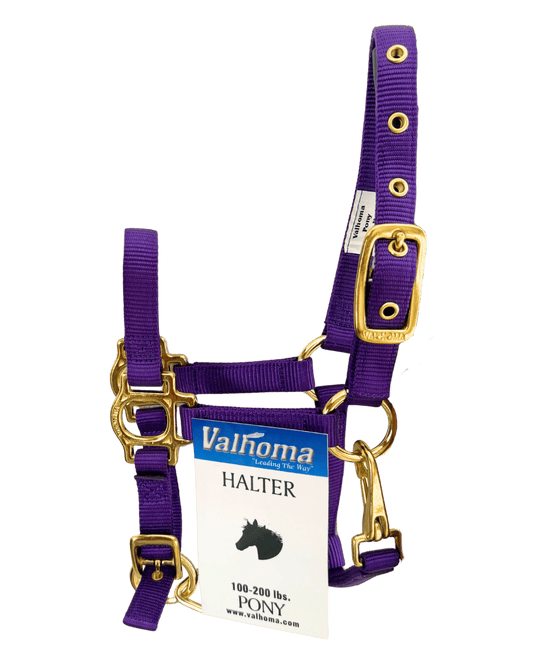 Licol Premium Colt
